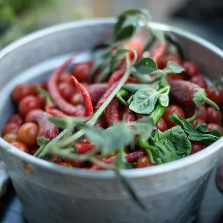 A Casa Da Angelo - Privatepool & Airco 葛伦坦马勒