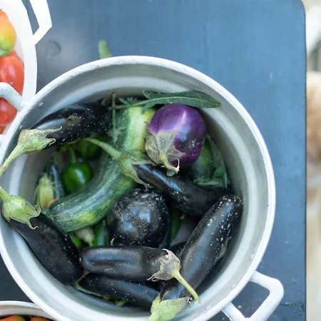 A Casa Da Angelo - Privatepool & Airco Casa di campagna *