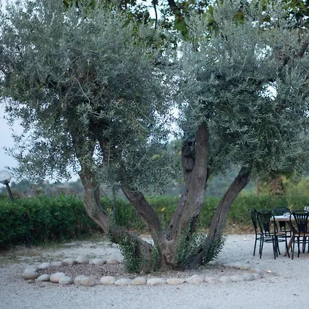 A Casa Da Angelo - Privatepool & Airco Séjour à la campagne
